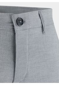 Pako Lorente - PAKO LORENTE – Spodnie męskie szare P22SF-WX-001-S-0. Okazja: na co dzień. Kolor: szary. Materiał: poliester, elastan, wiskoza. Wzór: gładki. Styl: casual, klasyczny #6