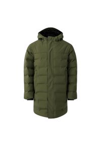 DARE 2B - Kurtka Dziecięca Wander Padded Jacket. Kolor: zielony. Materiał: puch. Styl: sportowy #1