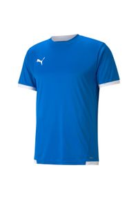 Puma - Koszulka piłkarska męska PUMA Teamliga Jersey. Kolor: wielokolorowy, biały, niebieski. Materiał: jersey. Sport: piłka nożna