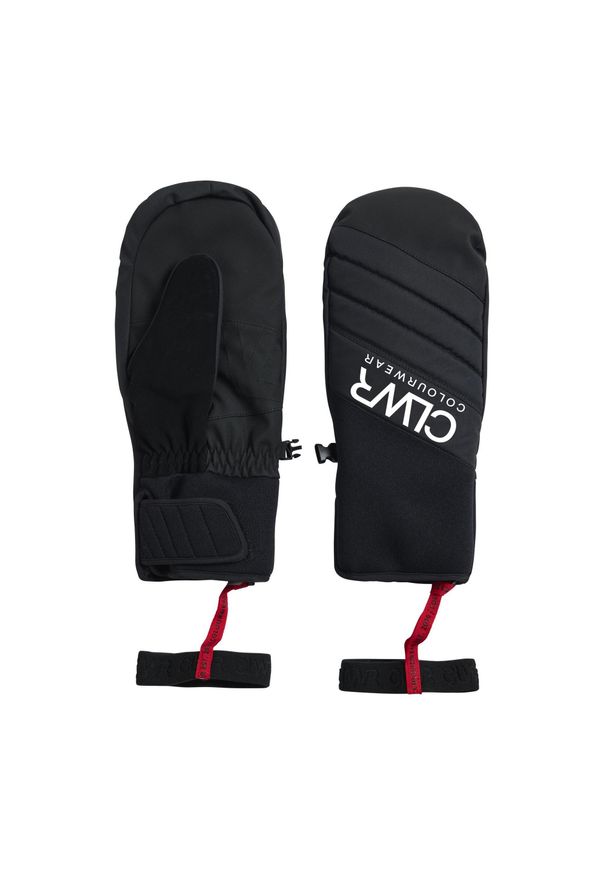 Rękawice dwupalczaste Colourwear Powder. Kolor: czarny. Sezon: zima. Sport: narciarstwo
