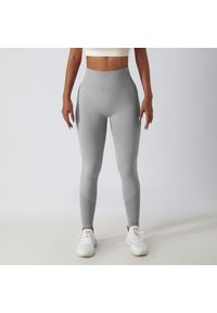 Intica - Legginsy treningowe modelujące sylwetkę z wysokim stanem Gulli. Stan: podwyższony. Kolor: szary. Materiał: tkanina. Sport: fitness #1
