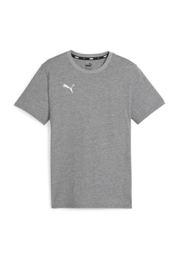 Koszulka dla dzieci Puma Team Goal. Kolor: szary. Sport: piłka nożna