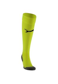 Puma - Skarpety Piłkarskie Unisex Dla Dorosłych Liga Core. Kolor: zielony. Sport: piłka nożna