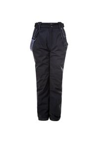 Dziecięce spodnie narciarskie Whistler Gippslang 15000. Kolor: czarny. Sezon: zima. Sport: narciarstwo #1
