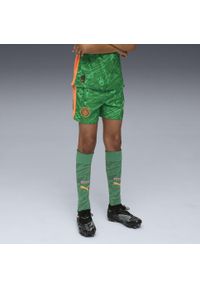 Puma - Młodzieżowe szorty bramkarskie Manchester City 25/26 PUMA. Kolor: zielony, pomarańczowy, wielokolorowy, żółty. Materiał: tkanina. Sport: piłka nożna