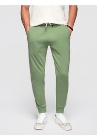 Ombre Clothing - Spodnie męskie dresowe ze ściągaczem przy nogawce BASIC jogger - zielone V3. Okazja: na spacer, na co dzień, do domu. Kolor: zielony. Materiał: dresówka. Wzór: jednolity, gładki, aplikacja. Styl: casual
