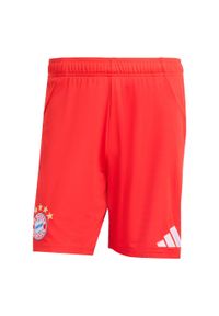 Adidas - Szorty podstawowe FC Bayern 25/26. Kolor: czerwony. Sport: piłka nożna