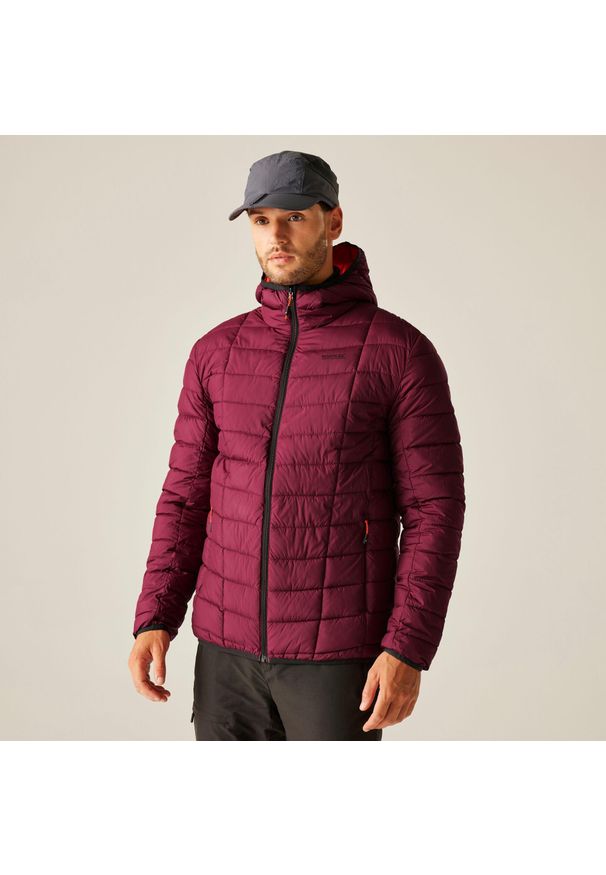 Regatta - Kurtka męska przejściowa ocieplana Asper. Kolor: czerwony, brązowy, wielokolorowy. Materiał: puch, syntetyk. Sport: turystyka piesza