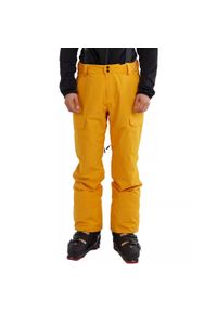 FUNDANGO - Spodnie narciarskie męskie Sierra Pants. Kolor: pomarańczowy, żółty, wielokolorowy. Materiał: tkanina. Sport: narciarstwo