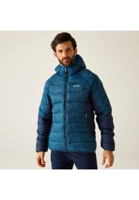 Regatta - Kurtka męska przejściowa ocieplana Dalent z kapturem. Typ kołnierza: kaptur. Kolor: niebieski, zielony, wielokolorowy. Materiał: puch, syntetyk. Sport: turystyka piesza #1