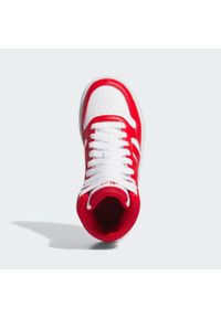 Adidas - Hoops Mid Shoes. Kolor: czerwony, wielokolorowy, biały. Sport: tenis