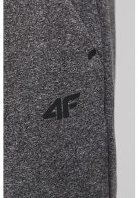 4f - 4F - Spodnie. Kolor: szary. Materiał: materiał. Wzór: gładki #2