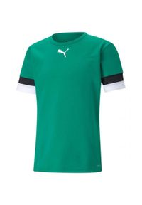 Puma - Męska Koszulka TeamRise. Kolor: zielony. Sport: turystyka piesza