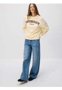 Reserved - Bluza z haftowanym napisem - jasnożółty. Kolor: żółty. Materiał: dzianina, bawełna. Wzór: napisy, haft #1