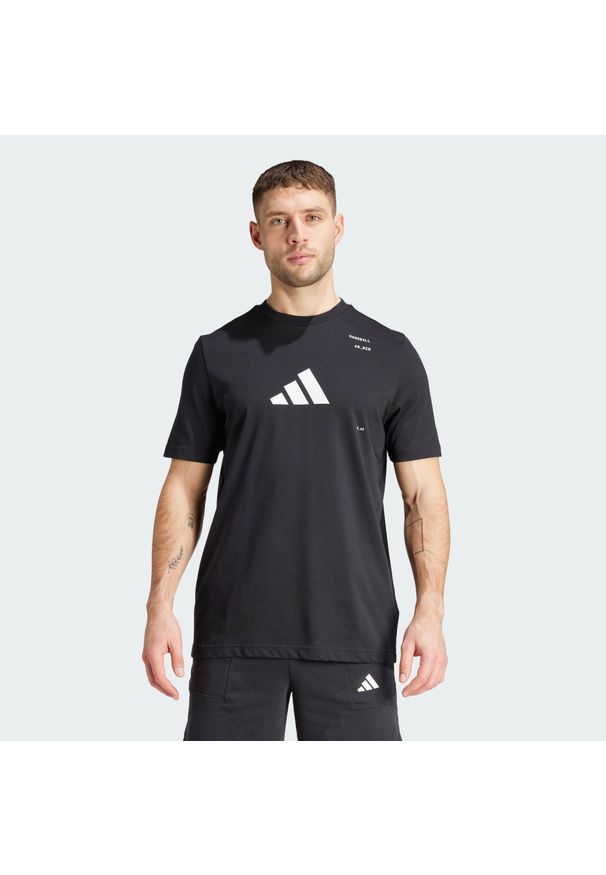 Adidas - Koszulka Handball Category Graphic. Kolor: czarny. Sport: piłka ręczna
