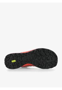 Buty do biegania męskie Inov-8 Trailfly Standard. Zapięcie: sznurówki. Kolor: czarny, szary, różowy, wielokolorowy. Materiał: materiał, tkanina, syntetyk, guma. Szerokość cholewki: normalna