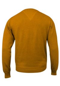 Sweter Musztardowy w Serek (V-neck), Męski, Klasyczny, Elegancki -Adriano Guinari. Okazja: na co dzień, do pracy, na spotkanie biznesowe. Typ kołnierza: dekolt w serek. Kolor: złoty, żółty, wielokolorowy. Materiał: bawełna. Styl: klasyczny, elegancki