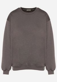 Born2be - Szara Ocieplana Bluza z Bawełną i Napisem z Tyłu Fezanda. Okazja: na co dzień. Kolor: szary. Materiał: bawełna. Wzór: napisy. Styl: klasyczny, casual, elegancki #6