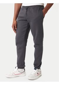 Tommy Jeans Spodnie dresowe DM0DM20473 Szary Regular Fit. Kolor: szary. Materiał: bawełna #1