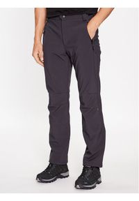 CMP Spodnie outdoor A01487-N Szary Regular Fit. Kolor: szary. Materiał: syntetyk. Sport: outdoor