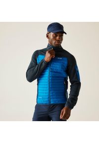 Regatta - Kurtka męska hybrydowa Ceden. Kolor: niebieski. Materiał: puch, polar. Sport: turystyka piesza #1
