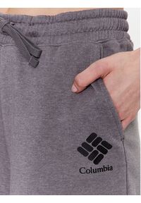 columbia - Columbia Szorty sportowe Trek™ 2032941 Szary Regular Fit. Kolor: szary. Materiał: bawełna