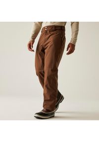 DARE 2B - Achieve II Męskie spodnie narciarskie. Kolor: brązowy. Sezon: zima. Sport: narciarstwo #1