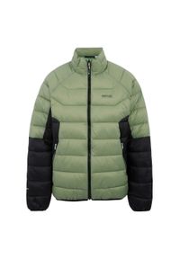 Regatta - Męska Ocieplana Kurtka Dalent. Kolor: czarny, wielokolorowy, zielony. Materiał: puch. Sport: turystyka piesza #1