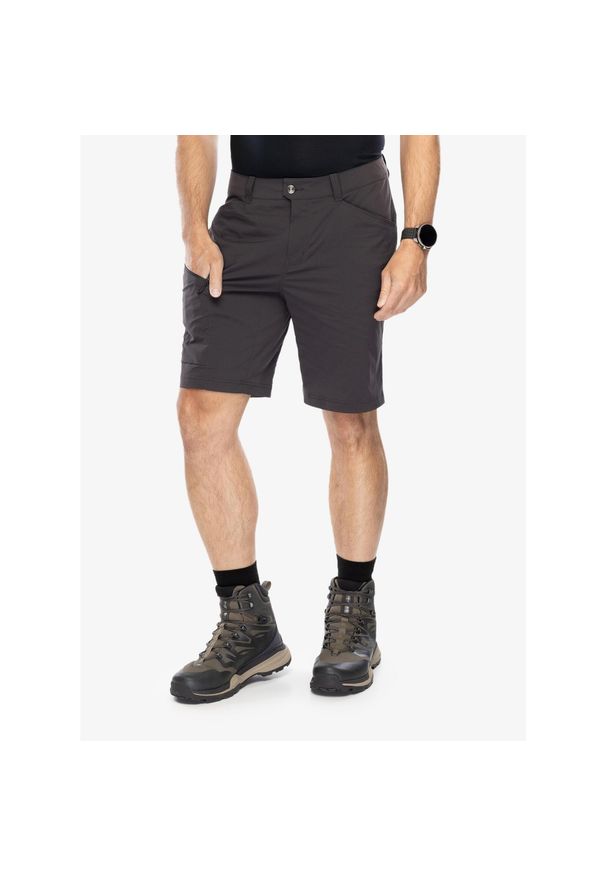 Spodenki turystyczne męskie Helly Hansen Elv Light Tur Shorts. Kolor: szary. Sport: turystyka piesza