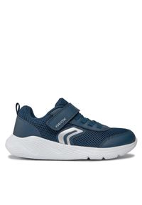 Sneakersy Geox. Kolor: niebieski #1