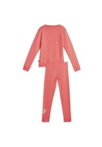 Dres Puma Logo FL JR, Dzieci. Okazja: na uczelnię. Kolor: różowy. Materiał: dresówka. Styl: sportowy