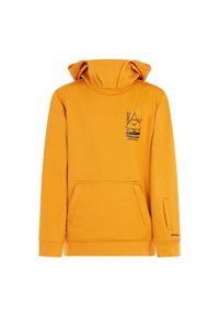 Bluza z kapturem dla dzieci Protest Tincan. Typ kołnierza: kaptur. Kolor: żółty #1