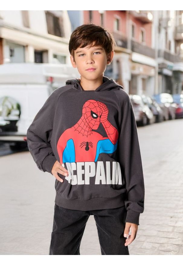 Sinsay - Bluza Spider-Man - szary. Kolor: szary. Materiał: bawełna. Wzór: nadruk