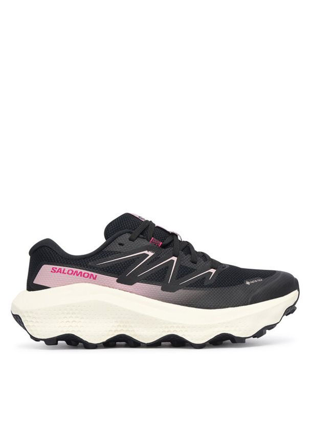 salomon - Salomon Buty do biegania Ultra Flow 2 Gtx W GORE-TEX L49299500 Czarny. Kolor: czarny. Materiał: materiał. Technologia: Gore-Tex