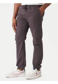 Tommy Jeans Joggery Scanton DM0DM23102 Szary Slim Fit. Kolor: szary. Materiał: bawełna #1