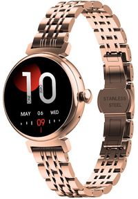 Zegarek Hagen Zegarek damski Hagen HB19.110.1110 różowe złoto. Kolor: złoty, wielokolorowy, różowy #1