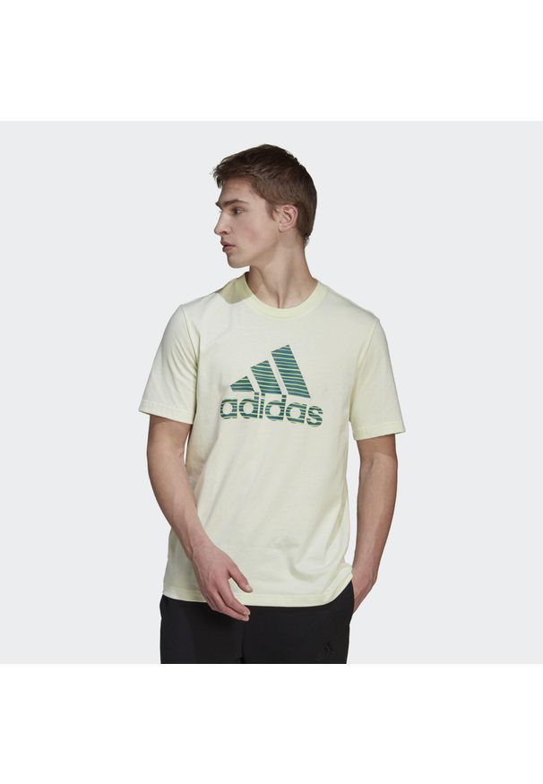 Adidas - T-shirt z krótkim rękawem męski adidas ESSENTIALS. Kolor: zielony, żółty, wielokolorowy. Długość rękawa: krótki rękaw. Długość: krótkie