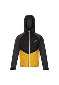 Regatta - Kurtka Dziecięca/dziecięca Kielder Hybrid VII Padded Jacket. Kolor: żółty, wielokolorowy, szary #1