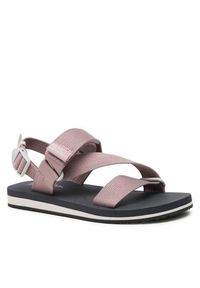 Jack Wolfskin Sandały Urban Entdeckung Belt Sandal W 4056801 Brązowy. Kolor: brązowy