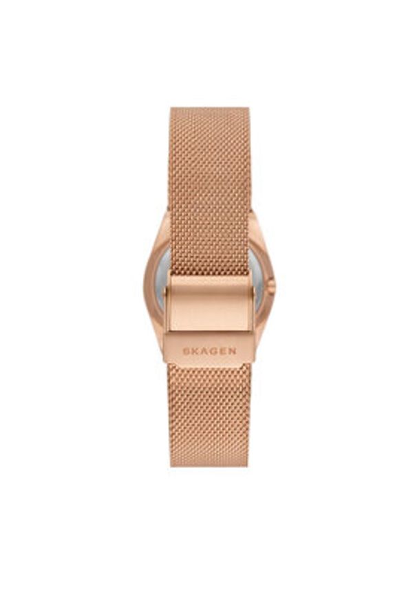 Skagen Zegarek Grenen SKW3035 Złoty. Kolor: złoty
