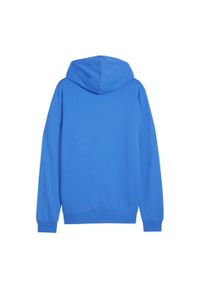 Puma - Męska Bluza Z Kapturem Team Goal Casual. Typ kołnierza: kaptur. Kolor: niebieski