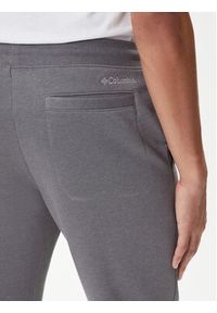 columbia - Columbia Spodnie dresowe Meridian Creek™ 2105861 Szary Regular Fit. Kolor: szary. Materiał: syntetyk #3