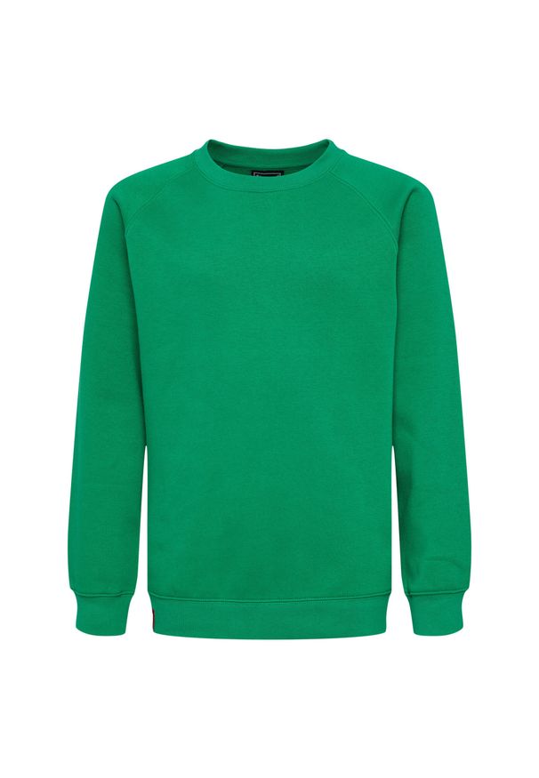 Bluza dziecięca Hummel Red Classic. Kolor: zielony. Sport: joga i pilates