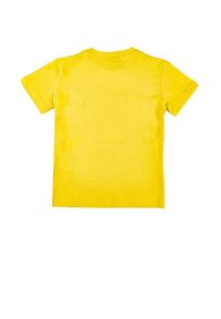 LEONE 1947 APPAREL - Dziecięcy t-shirt basic Leone z krótkim rękawem. Kolor: żółty. Długość rękawa: krótki rękaw. Długość: krótkie. Sport: joga i pilates