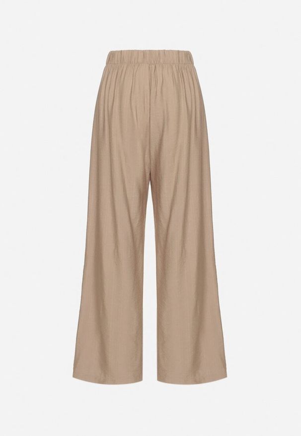 Born2be - Ciemnobeżowe Wiskozowe Szerokie Spodnie Ozdobione Kokardą Elliluria. Okazja: na co dzień. Stan: podwyższony. Kolor: beżowy. Materiał: wiskoza. Wzór: aplikacja. Styl: casual, elegancki