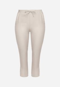 Born2be - Szare Spodnie z Lnem i Elastyczną Gumką w Pasie Nativena. Okazja: na co dzień. Kolekcja: plus size. Kolor: szary. Materiał: len. Styl: casual #3