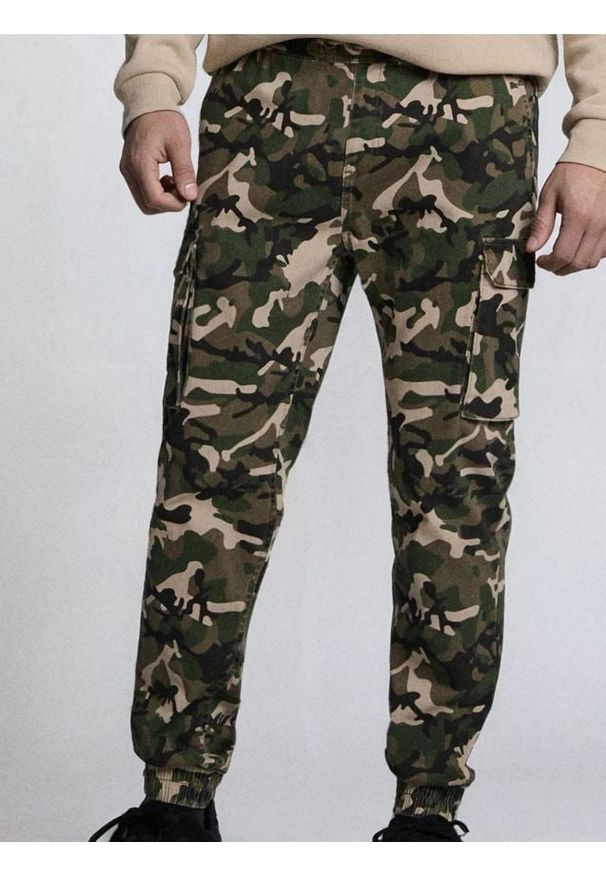 Sinsay - Spodnie jogger cargo ze wzorem moro - wielobarwny. Wzór: moro