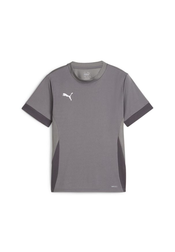 Koszulka treningowa dla dzieci Puma TeamGoal. Kolor: szary. Sport: piłka nożna