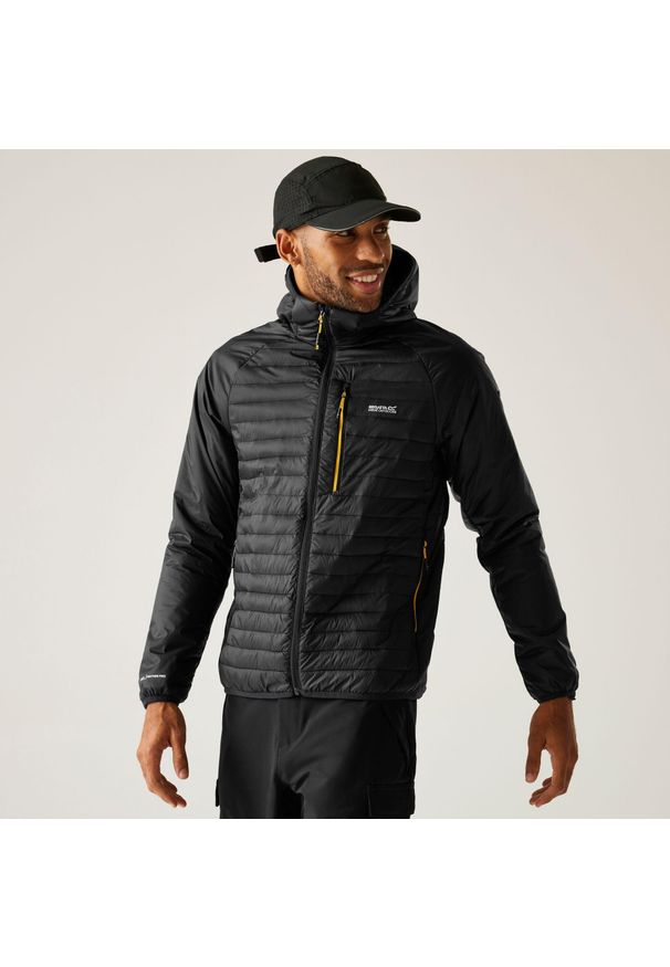Regatta - Kurtka męska przejściowa Rowak. Kolor: czarny. Materiał: tkanina, puch, syntetyk. Sport: turystyka piesza