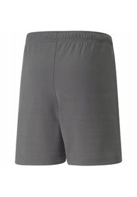 Spodnie treningowe chłopięce Puma Teamrise Short Jr. Kolor: biały, wielokolorowy, szary. Materiał: syntetyk, materiał. Długość: krótkie